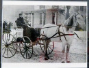 1800 s fire chief photograph