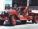 1923 hale