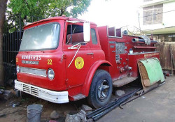 1974 international