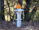 fire hydrant in georgia