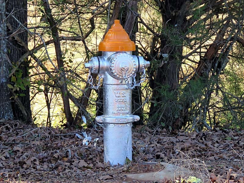 fire hydrant in georgia