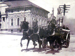 photograph 3